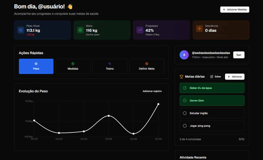 Screenshot da tela principal do Painel Fit